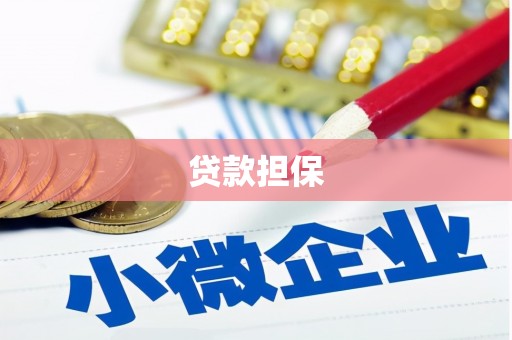 特克斯贷款担保