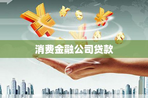 龙文消费金融公司贷款