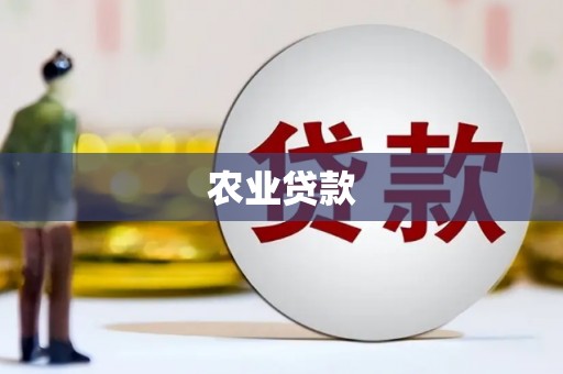 始兴农业贷款