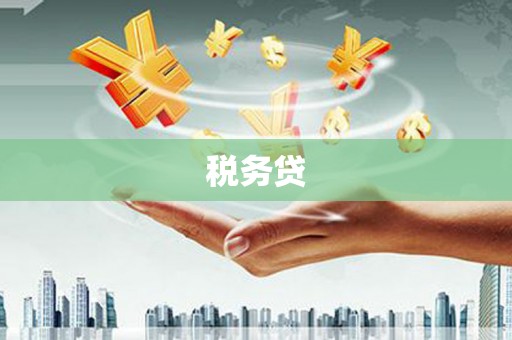 罗东税务贷