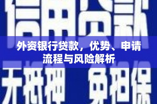萝北外资银行贷款，优势、申请流程与风险解析
