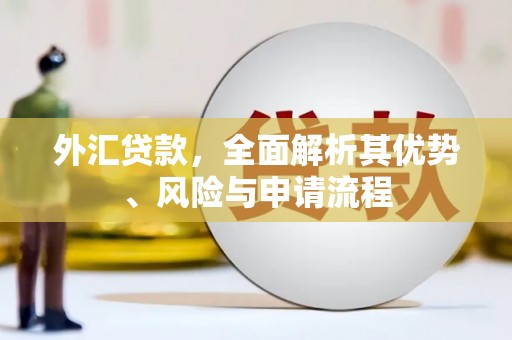 南雄外汇贷款，全面解析其优势、风险与申请流程
