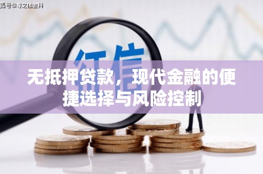 顺河无抵押贷款，现代金融的便捷选择与风险控制