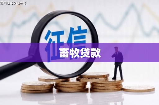 泗阳畜牧贷款