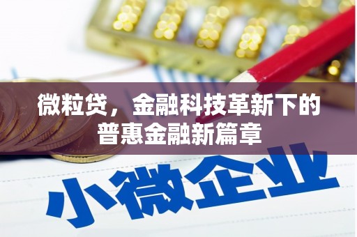 正蓝旗微粒贷，金融科技革新下的普惠金融新篇章