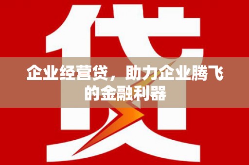 上林企业经营贷，助力企业腾飞的金融利器