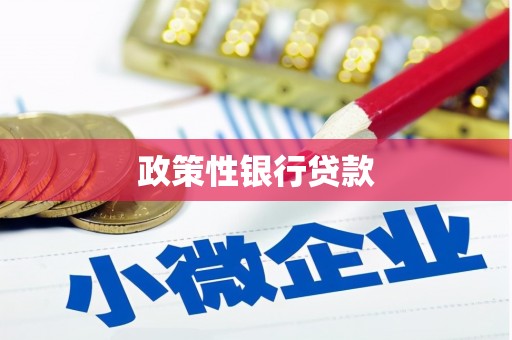坪林政策性银行贷款