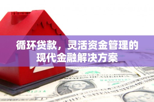 坦洲循环贷款，灵活资金管理的现代金融解决方案