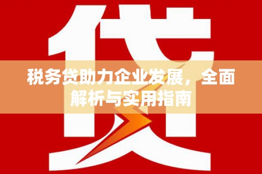 碌曲税务贷助力企业发展，全面解析与实用指南