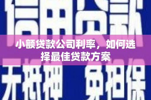 湖西小额贷款公司利率，如何选择最佳贷款方案