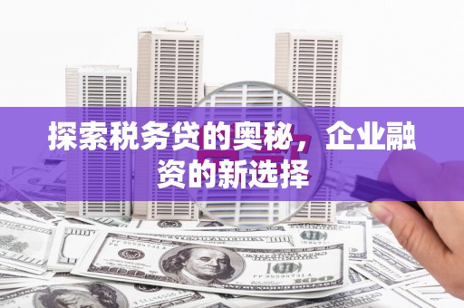台东探索税务贷的奥秘，企业融资的新选择
