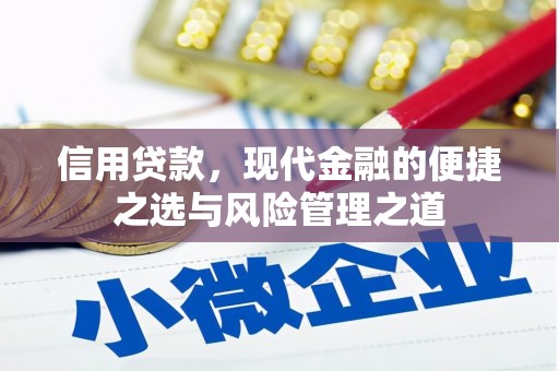 施甸信用贷款，现代金融的便捷之选与风险管理之道