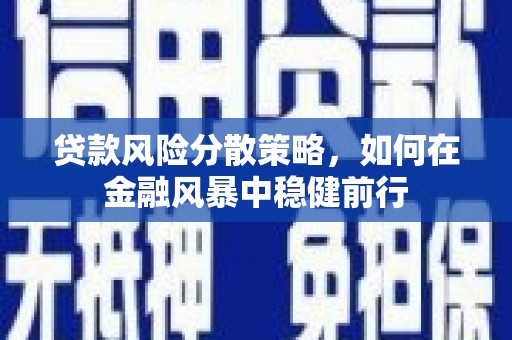 张家界贷款风险分散策略，如何在金融风暴中稳健前行