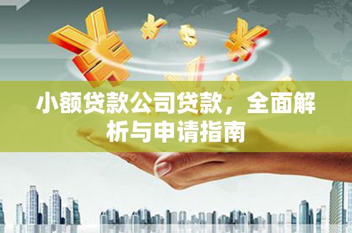 三沙小额贷款公司贷款，全面解析与申请指南