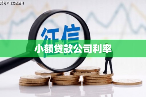 隆回小额贷款公司利率