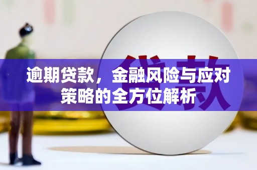 虎林逾期贷款，金融风险与应对策略的全方位解析