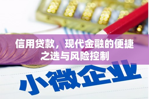 济宁信用贷款，现代金融的便捷之选与风险控制