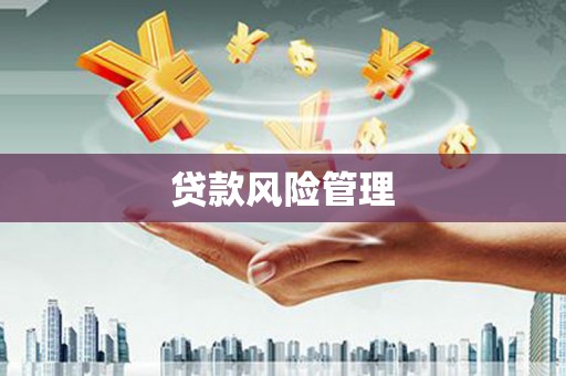 元谋贷款风险管理