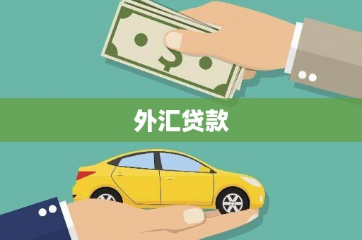 理县外汇贷款