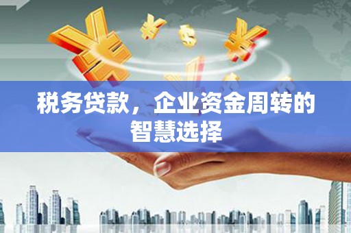 闻喜税务贷款，企业资金周转的智慧选择