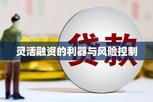 氹仔岛灵活融资的利器与风险控制