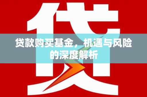 河西贷款购买基金，机遇与风险的深度解析