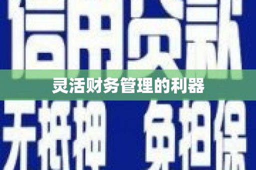 萨迦灵活财务管理的利器