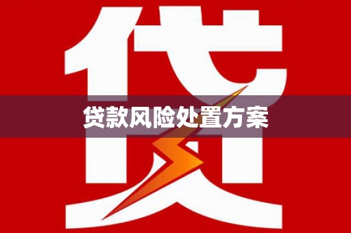 宜城贷款风险处置方案