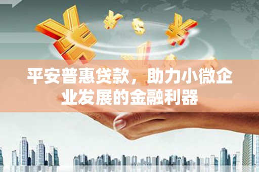 连山平安普惠贷款，助力小微企业发展的金融利器