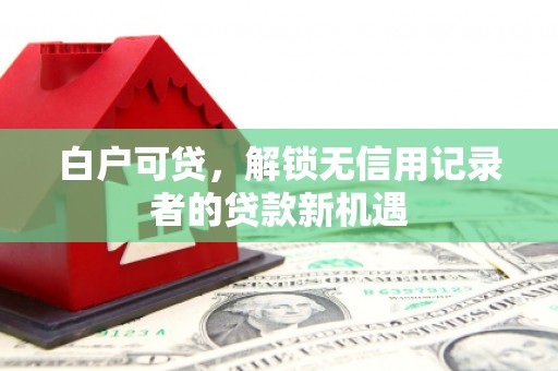 林甸白户可贷，解锁无信用记录者的贷款新机遇