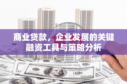 新园商业贷款，企业发展的关键融资工具与策略分析