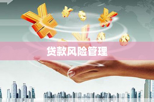 君山贷款风险管理