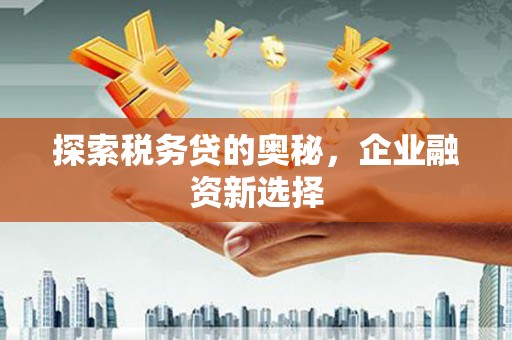应县探索税务贷的奥秘，企业融资新选择