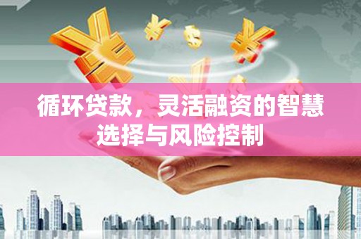 六甲循环贷款，灵活融资的智慧选择与风险控制