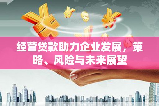 献县经营贷款助力企业发展，策略、风险与未来展望
