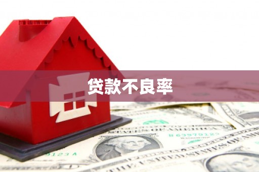 兴隆贷款不良率