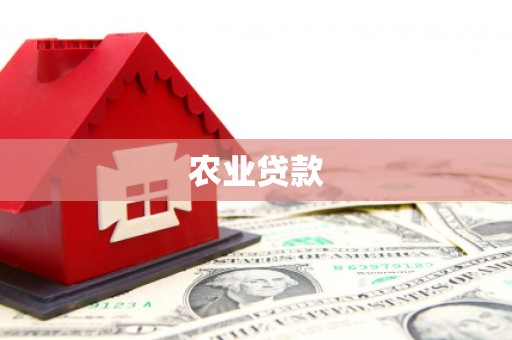 周村农业贷款