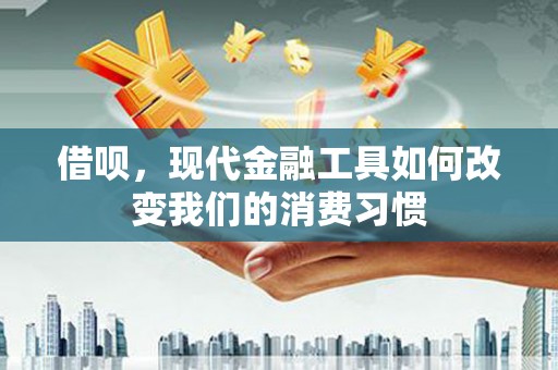 永川借呗，现代金融工具如何改变我们的消费习惯