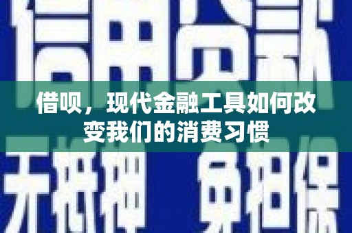 南州借呗，现代金融工具如何改变我们的消费习惯