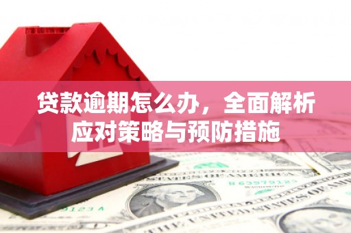 韶关贷款逾期怎么办，全面解析应对策略与预防措施
