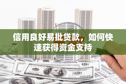 南港信用良好易批贷款，如何快速获得资金支持