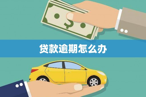 武陟贷款逾期怎么办