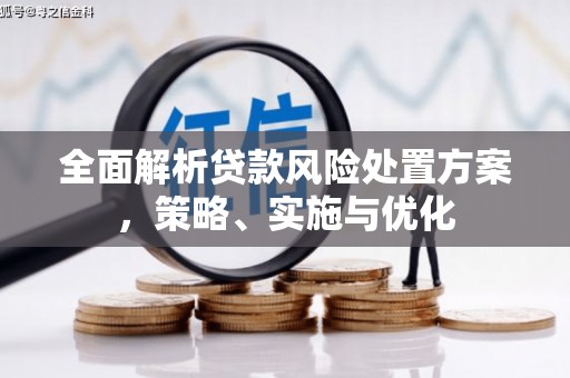 茶陵全面解析贷款风险处置方案，策略、实施与优化