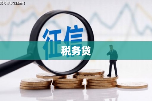 淳安税务贷