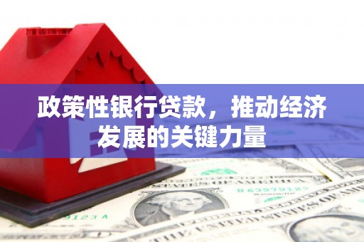 拉孜政策性银行贷款，推动经济发展的关键力量