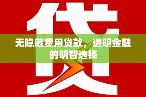 昌吉无隐藏费用贷款，透明金融的明智选择