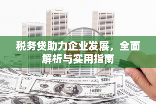 雄县税务贷助力企业发展，全面解析与实用指南