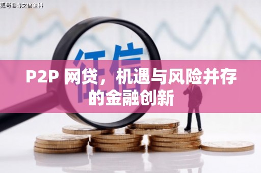 麟游P2P 网贷，机遇与风险并存的金融创新