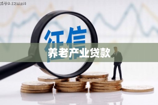 修文养老产业贷款