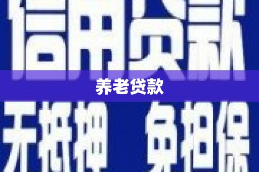 抚远养老贷款